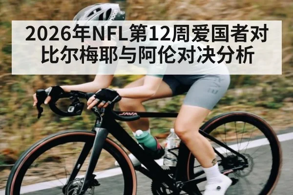 2026年NFL第12周爱国者对比尔梅耶与阿伦对决分析