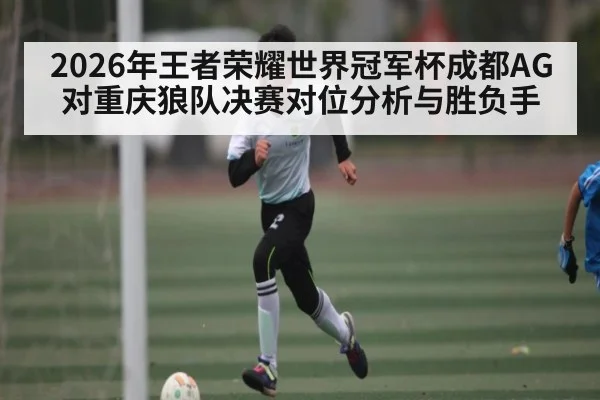 2026年王者荣耀世界冠军杯成都AG对重庆狼队决赛对位分析与胜负手